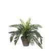 Mica Decorations Plantes D'intérieur Et Fleurs D'intérieur Palmier Cycas Artificielle En Pot H37 2 Mica Decorations Plantes D'intérieur Et Fleurs D'intérieur Palmier Cycas Artificielle En Pot H37 -Parasols Soldes Magasin palmier cycas artificielle en pot h37