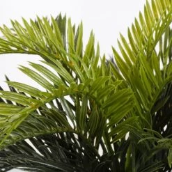 Mica Decorations Plantes D'intérieur Et Fleurs D'intérieur Palmier Cycas Artificielle En Pot H37 -Parasols Soldes Magasin palmier cycas artificielle en pot h37 2