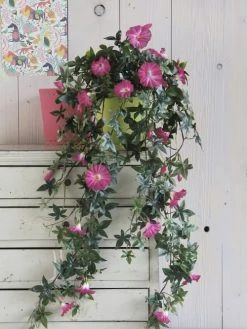 Mica Decorations Plantes D'intérieur Et Fleurs D'intérieur Pétunia Artificielle Rose Foncé En Pot L50 -Parasols Soldes Magasin petunia artificielle rose fonce en pot l50 2