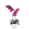 Mica Decorations Plantes D'intérieur Et Fleurs D'intérieur Phalaenopsis Artificielle Violet En Pot H66 -Parasols Soldes Magasin phalaenopsis artificielle violet en pot h66