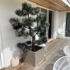 Now’s Home Plantes D'intérieur Et Fleurs D'intérieur Pin Du Japon Artificiel Tronc Fibre Verre Et Feuille PVC H190cm -Parasols Soldes Magasin pin du japon artificiel tronc fibre verre et feuille pvc h190cm 3