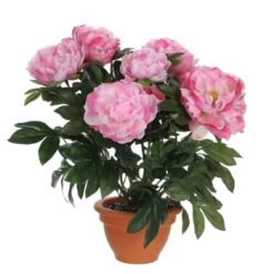 Mica Decorations Plantes D'intérieur Et Fleurs D'intérieur Pivoine Artificielle Rose Saumon En Pot H50 -Parasols Soldes Magasin pivoine artificielle rose en pot h50