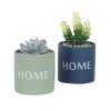 Ligne Déco Plantes D'intérieur Et Fleurs D'intérieur Plante Artificielle - 2 Succulentes Pot Céramique à Message 11cm 2 Ligne Déco Plantes D'intérieur Et Fleurs D'intérieur Plante Artificielle - 2 Succulentes Pot Céramique à Message 11cm -Parasols Soldes Magasin plante artificielle 2 succulentes pot ceramique a message 11cm