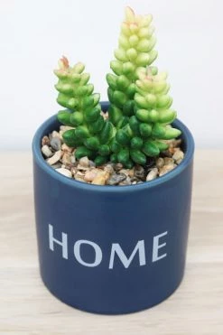 Ligne Déco Plantes D'intérieur Et Fleurs D'intérieur Plante Artificielle - 2 Succulentes Pot Céramique à Message 11cm -Parasols Soldes Magasin plante artificielle 2 succulentes pot ceramique a message 11cm 5