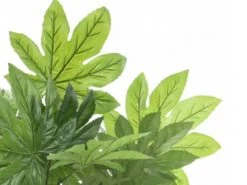 Kaemingk Plantes D'intérieur Et Fleurs D'intérieur Plante Artificielle Aralie En Pot -Parasols Soldes Magasin plante artificielle aralie en pot 2