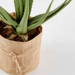 Oviala Plantes D'intérieur Et Fleurs D'intérieur Plante Artificielle Avec Pot Aloe Vera, Hauteur 43 Cm Vert -Parasols Soldes Magasin plante artificielle avec pot aloe vera hauteur 43 cm vert 1
