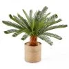 Oviala Plantes D'intérieur Et Fleurs D'intérieur Plante Artificielle Avec Pot Cycas, Hauteur 65 Cm 2 Oviala Plantes D'intérieur Et Fleurs D'intérieur Plante Artificielle Avec Pot Cycas, Hauteur 65 Cm -Parasols Soldes Magasin plante artificielle avec pot cycas hauteur 65 cm