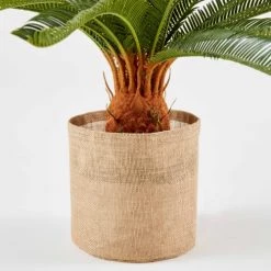 Oviala Plantes D'intérieur Et Fleurs D'intérieur Plante Artificielle Avec Pot Cycas, Hauteur 65 Cm -Parasols Soldes Magasin plante artificielle avec pot cycas hauteur 65 cm 3