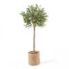 Oviala Plantes D'intérieur Et Fleurs D'intérieur Plante Artificielle Avec Pot Olivier, Hauteur 135 Cm Vert -Parasols Soldes Magasin plante artificielle avec pot olivier hauteur 135 cm vert