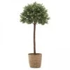 Oviala Plantes D'intérieur Et Fleurs D'intérieur Plante Artificielle Avec Pot Polyèthylène Vert -Parasols Soldes Magasin plante artificielle avec pot polyethylene vert