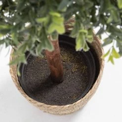 Oviala Plantes D'intérieur Et Fleurs D'intérieur Plante Artificielle Avec Pot Polyèthylène Vert -Parasols Soldes Magasin plante artificielle avec pot polyethylene vert 2