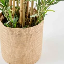 Oviala Plantes D'intérieur Et Fleurs D'intérieur Plante Artificielle Bambou En Tissu Vert -Parasols Soldes Magasin plante artificielle bambou en tissu vert 3