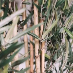 Oviala Plantes D'intérieur Et Fleurs D'intérieur Plante Artificielle Bambou En Tissu Vert -Parasols Soldes Magasin plante artificielle bambou en tissu vert 5