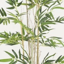 Ligne Déco Plantes D'intérieur Et Fleurs D'intérieur Plante Artificielle Bambou Tronc Naturel 336 Feuilles H.150cm -Parasols Soldes Magasin plante artificielle bambou tronc naturel 336 feuilles h 150cm 2