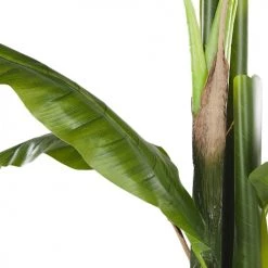 Beliani Plantes D'intérieur Et Fleurs D'intérieur Plante Artificielle Bananier 154 Cm Avec Pot -Parasols Soldes Magasin plante artificielle bananier 154 cm avec pot 4