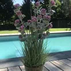 Pirouette Paris Plantes D'intérieur Et Fleurs D'intérieur Plante Artificielle Boule De Neige à Fleurs Roses H78 -Parasols Soldes Magasin plante artificielle boule de neige a fleurs roses h78 2