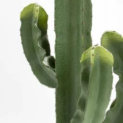 Oviala Plantes D'intérieur Et Fleurs D'intérieur Plante Artificielle Cactus, Hauteur 113 Cm Vert -Parasols Soldes Magasin plante artificielle cactus hauteur 113 cm vert 5