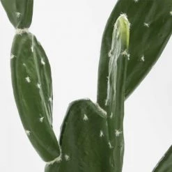 Oviala Plantes D'intérieur Et Fleurs D'intérieur Plante Artificielle Cactus, Hauteur 60 Cm Vert -Parasols Soldes Magasin plante artificielle cactus hauteur 60 cm vert 2