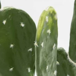 Oviala Plantes D'intérieur Et Fleurs D'intérieur Plante Artificielle Cactus, Hauteur 60 Cm Vert -Parasols Soldes Magasin plante artificielle cactus hauteur 60 cm vert 3