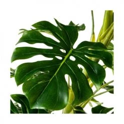 Wadiga Plantes D'intérieur Et Fleurs D'intérieur Plante Artificielle D'intérieur Monstera H100cm -Parasols Soldes Magasin plante artificielle d interieur monstera h100cm 2