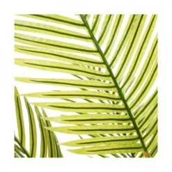 Wadiga Plantes D'intérieur Et Fleurs D'intérieur Plante Artificielle D'intérieur Palmiers H160cm -Parasols Soldes Magasin plante artificielle d interieur palmiers h160cm 2