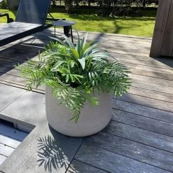 Now’s Home Plantes D'intérieur Et Fleurs D'intérieur Plante Artificielle H46cm -Parasols Soldes Magasin plante artificielle h46cm 3