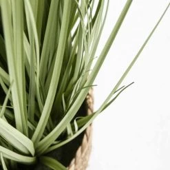 Oviala Plantes D'intérieur Et Fleurs D'intérieur Plante Artificielle Herbe Folle Juncus, Hauteur 95 Cm Vert -Parasols Soldes Magasin plante artificielle herbe folle juncus hauteur 95 cm vert 2