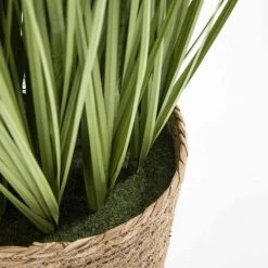 Oviala Plantes D'intérieur Et Fleurs D'intérieur Plante Artificielle Herbe Folle Miscanthus, Hauteur 185 Cm Vert -Parasols Soldes Magasin plante artificielle herbe folle miscanthus hauteur 185 cm vert 2