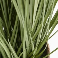 Oviala Plantes D'intérieur Et Fleurs D'intérieur Plante Artificielle Herbe Folle Miscanthus, Hauteur 185 Cm Vert -Parasols Soldes Magasin plante artificielle herbe folle miscanthus hauteur 185 cm vert 5