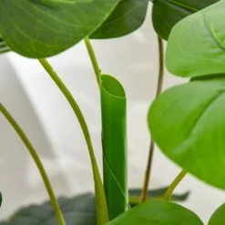 Homcom Plantes D'intérieur Et Fleurs D'intérieur Plante Artificielle Monstera H.1,2 M Tronc Branches Lichen Pot Inclus -Parasols Soldes Magasin plante artificielle monstera h 1 2 m tronc branches lichen pot inclus 4
