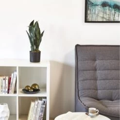 ATHM DESIGN Plantes D'intérieur Et Fleurs D'intérieur Plante Artificielle Polyethylène Vert H47cm -Parasols Soldes Magasin plante artificielle polyethyle ne vert h47cm 2