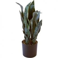 ATHM DESIGN Plantes D'intérieur Et Fleurs D'intérieur Plante Artificielle Polyethylène Vert H47cm