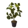 ATHM DESIGN Plantes D'intérieur Et Fleurs D'intérieur Plante Artificielle Polyethylène Vert H57cm