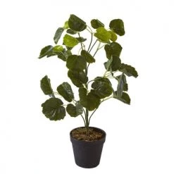 ATHM DESIGN Plantes D'intérieur Et Fleurs D'intérieur Plante Artificielle Polyethylène Vert H57cm