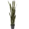 Kare Design Plantes D'intérieur Et Fleurs D'intérieur Plante Artificielle Sansevieria En Polyéthylène Et Béton H155 -Parasols Soldes Magasin plante artificielle sansevieria en polyethylene et beton h155