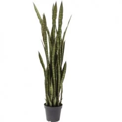Kare Design Plantes D'intérieur Et Fleurs D'intérieur Plante Artificielle Sansevieria En Polyéthylène Et Béton H155