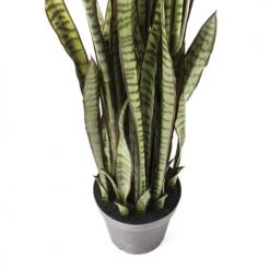 Kare Design Plantes D'intérieur Et Fleurs D'intérieur Plante Artificielle Sansevieria En Polyéthylène Et Béton H155 -Parasols Soldes Magasin plante artificielle sansevieria en polyethylene et beton h155 3