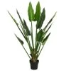 Kaemingk Plantes D'intérieur Et Fleurs D'intérieur Plante Artificiellle Strelitzia En Pot Plastique 1 Kaemingk Plantes D'intérieur Et Fleurs D'intérieur Plante Artificiellle Strelitzia En Pot Plastique -Parasols Soldes Magasin plante artificiellle strelitzia en pot plastique