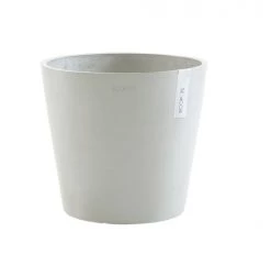 Flowy Plantes D'intérieur Et Fleurs D'intérieur Plante D'intérieur - Bonsaï Ficus De 70cm En Pot Blanc Gris -Parasols Soldes Magasin plante d interieur bonsai ficus de 70cm en pot blanc gris 4