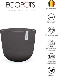 Flowy Plantes D'intérieur Et Fleurs D'intérieur Plante D'intérieur - Cactus Euphorbe De 80 Cm En Pot Noir -Parasols Soldes Magasin plante d interieur cactus euphorbe de 80 cm en pot noir 1