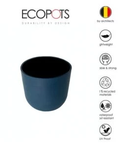 Flowy Plantes D'intérieur Et Fleurs D'intérieur Plante D'intérieur - Cactus Euphorbe De 80cm En Pot Bleu Nuit -Parasols Soldes Magasin plante d interieur cactus euphorbe de 80cm en pot bleu nuit 1