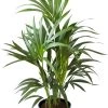 Flowy Plantes D'intérieur Et Fleurs D'intérieur Plante D'intérieur - Palmier Kentia De 90cm En Pot Bleu Nuit