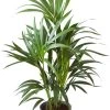 Flowy Plantes D'intérieur Et Fleurs D'intérieur Plante D'intérieur - Plamier Kentia De 90cm En Pot Bleu Gris 1 Flowy Plantes D'intérieur Et Fleurs D'intérieur Plante D'intérieur - Plamier Kentia De 90cm En Pot Bleu Gris -Parasols Soldes Magasin plante d interieur plamier kentia de 90cm en pot bleu gris