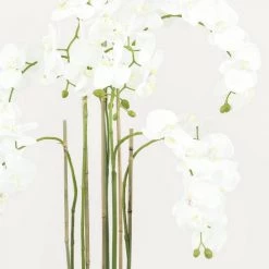 Ligne Déco Plantes D'intérieur Et Fleurs D'intérieur Plante Fleur Artificielle Orchidée Toucher Naturel, H.125cm -Parasols Soldes Magasin plante fleur artificielle orchidee toucher naturel h 125cm 2