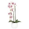Ligne Déco Plantes D'intérieur Et Fleurs D'intérieur Plante Fleur Artificielle Orchidée Toucher Naturel, H.50cm -Parasols Soldes Magasin plante fleur artificielle orchidee toucher naturel h 50cm