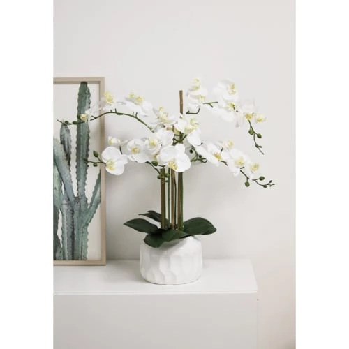 Ligne Déco Plantes D'intérieur Et Fleurs D'intérieur Plante Fleur Artificielle Orchidée Toucher Naturel, H.55cm 4 Ligne Déco Plantes D'intérieur Et Fleurs D'intérieur Plante Fleur Artificielle Orchidée Toucher Naturel, H.55cm – Image 2