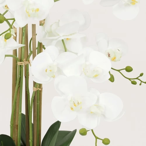 Ligne Déco Plantes D'intérieur Et Fleurs D'intérieur Plante Fleur Artificielle Orchidée Toucher Naturel, H.55cm 5 Ligne Déco Plantes D'intérieur Et Fleurs D'intérieur Plante Fleur Artificielle Orchidée Toucher Naturel, H.55cm – Image 3