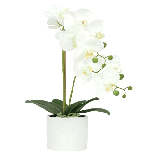 Ligne Déco Plantes D'intérieur Et Fleurs D'intérieur Plante Fleur Artificielle Orchidée Toucher Naturel, H.55cm 3 Ligne Déco Plantes D'intérieur Et Fleurs D'intérieur Plante Fleur Artificielle Orchidée Toucher Naturel, H.55cm