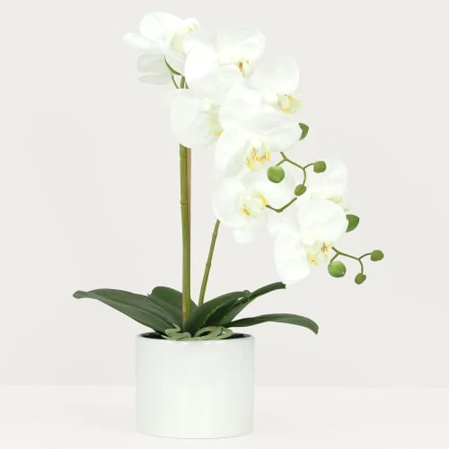 Ligne Déco Plantes D'intérieur Et Fleurs D'intérieur Plante Fleur Artificielle Orchidée Toucher Naturel, H.55cm 4 Ligne Déco Plantes D'intérieur Et Fleurs D'intérieur Plante Fleur Artificielle Orchidée Toucher Naturel, H.55cm – Image 2
