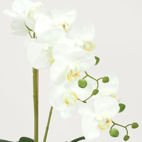 Ligne Déco Plantes D'intérieur Et Fleurs D'intérieur Plante Fleur Artificielle Orchidée Toucher Naturel, H.55cm 5 Ligne Déco Plantes D'intérieur Et Fleurs D'intérieur Plante Fleur Artificielle Orchidée Toucher Naturel, H.55cm – Image 3